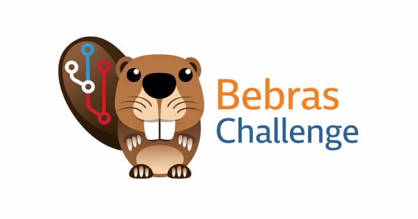 Bobřík informatiky - Bebras Challenge
