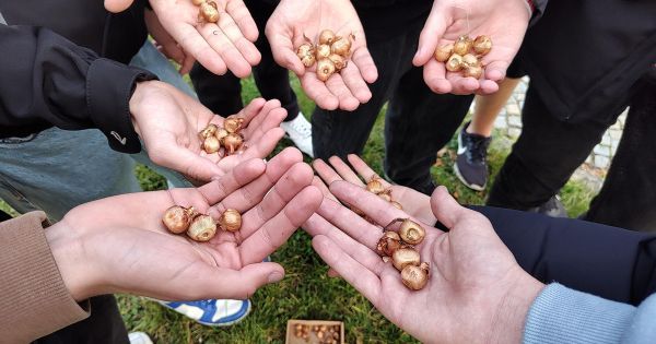 Měsíc filmu na školách, larpová hra, projekt Krokus